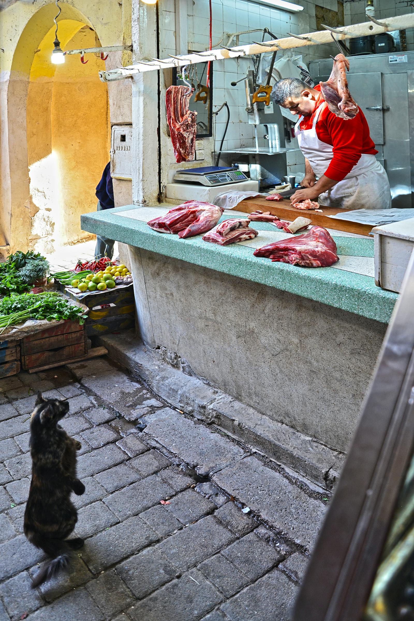Range of raw meat cuts on display in a butcher shop with labels