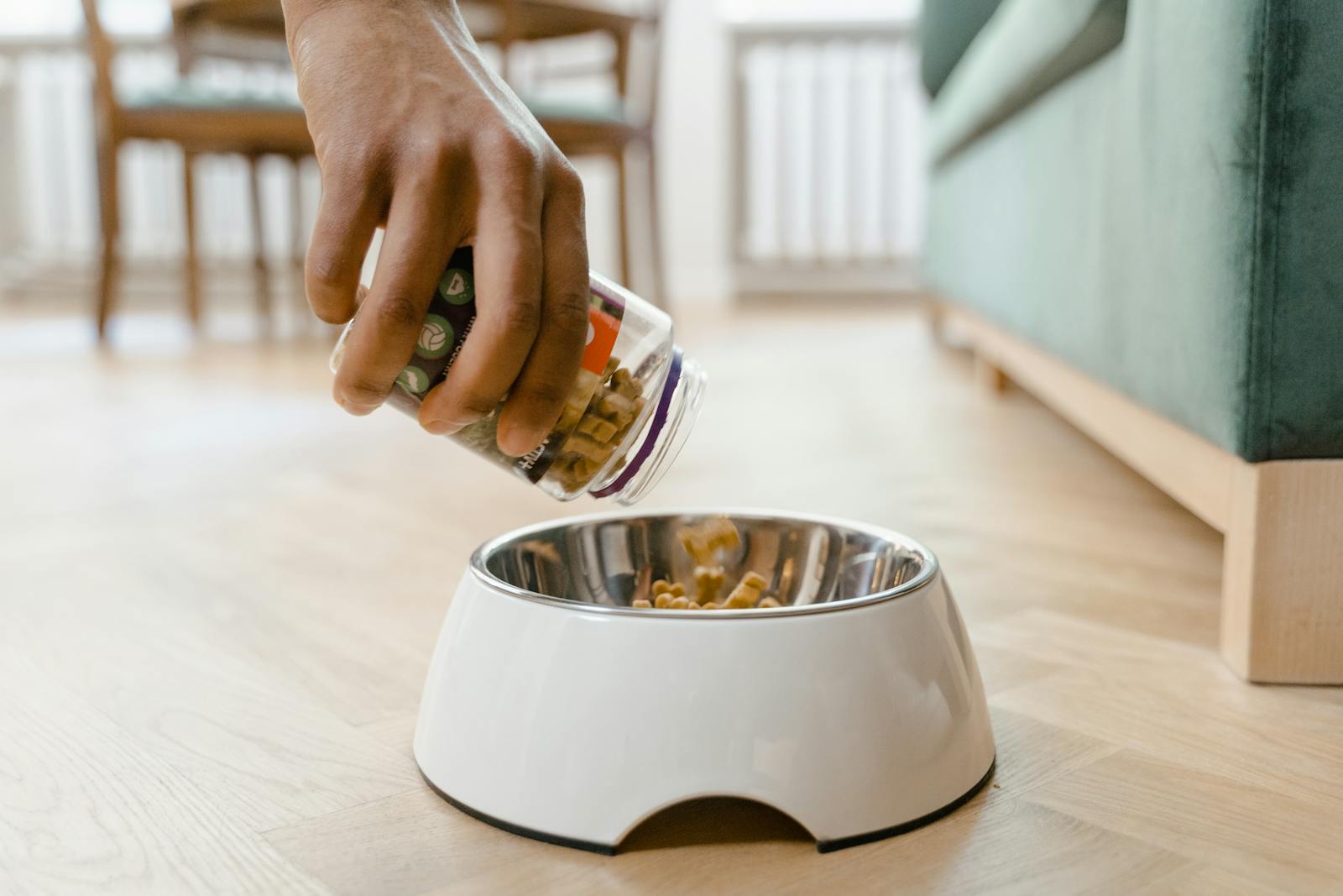 Hand pouring fresh kibble into a white dog bowl